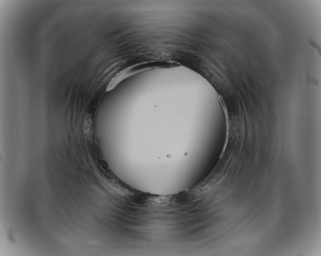 X0000096630092200802191207