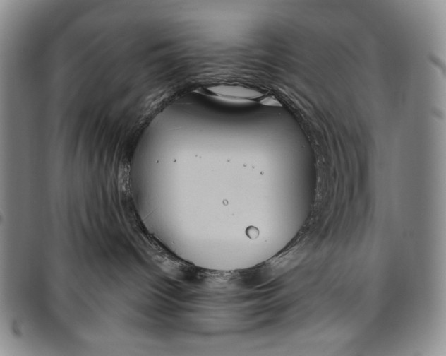 X0000096630096200802191207