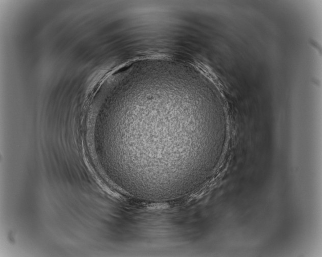 X0000096630097200802191206