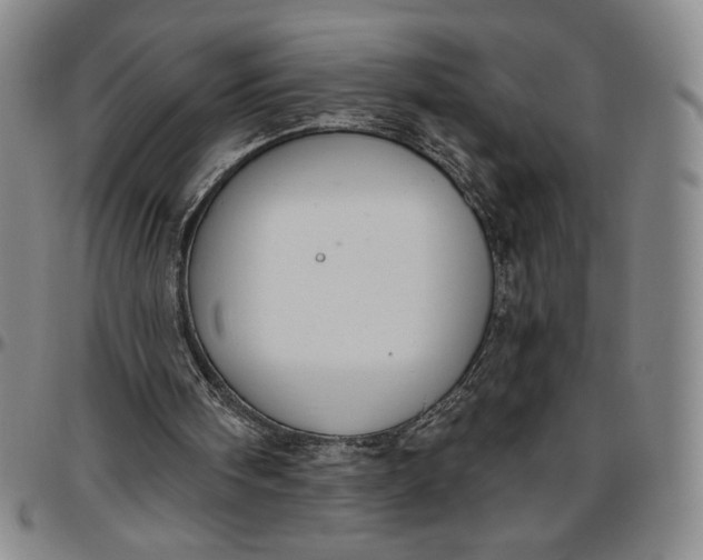 X0000096630098200802191206