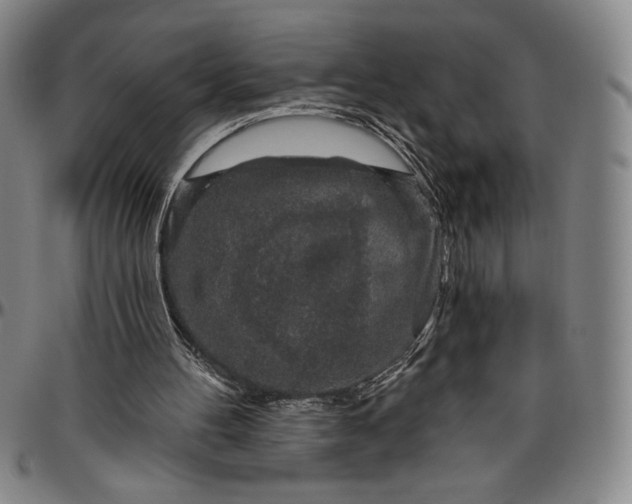 X0000096630100200802191206