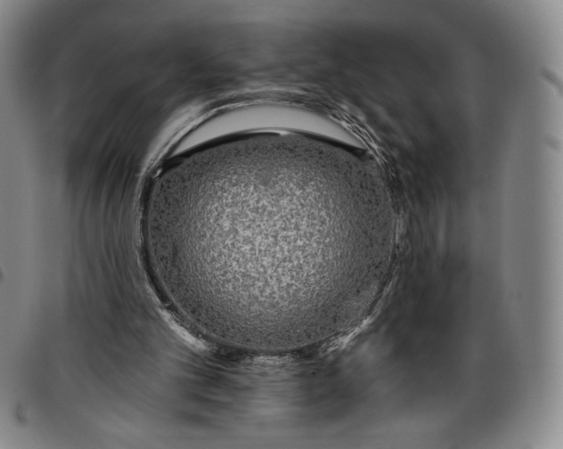 X0000096630101200802191206