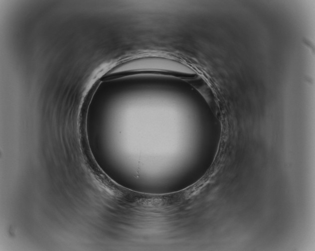 X0000096630104200802191206
