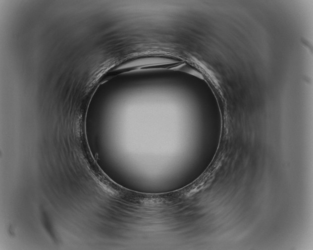 X0000096630105200802191206