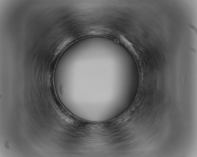 X0000096630106200802191206