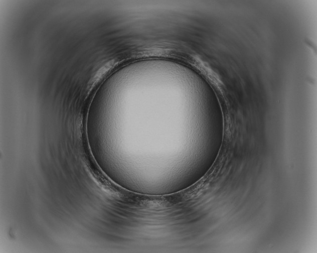X0000096630107200802191206