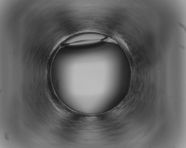 X0000096630108200802191206
