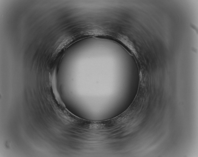 X0000096630109200802191206
