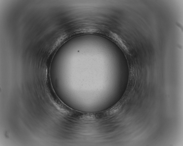 X0000096630110200802191206