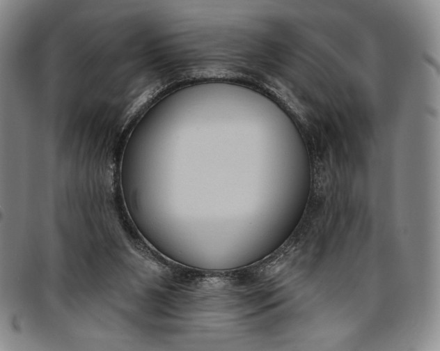 X0000096630111200802191206
