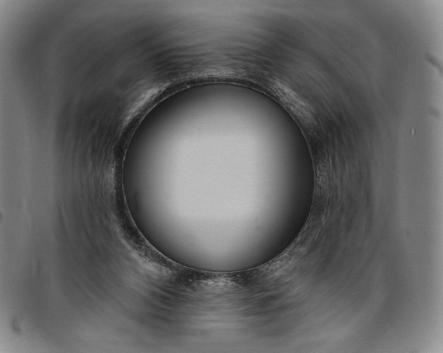 X0000096630112200802191206
