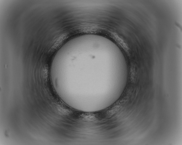 X0000096630113200802191206