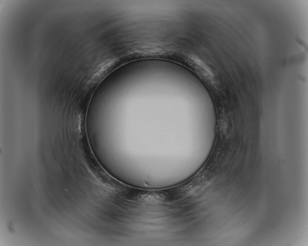 X0000096630115200802191206