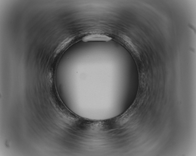 X0000096630116200802191206