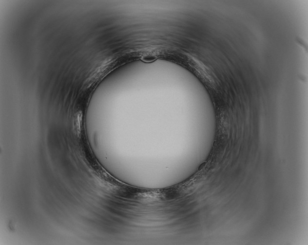 X0000096630118200802191206
