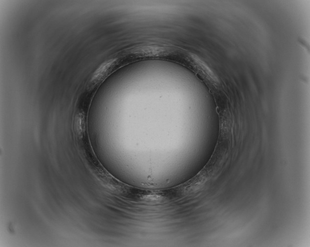 X0000096630119200802191206