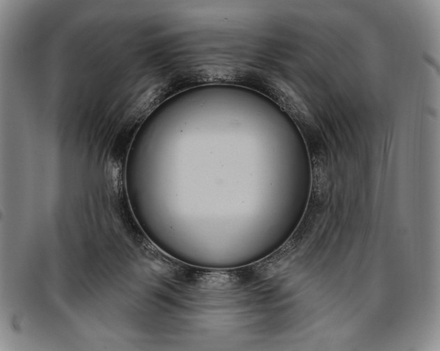 X0000096630123200802191206
