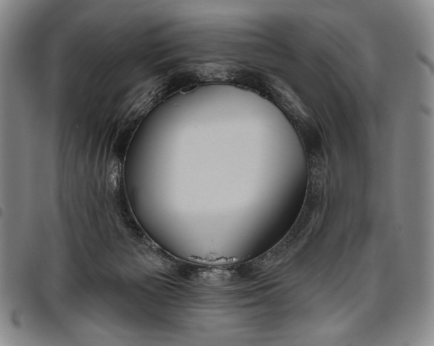 X0000096630125200802191206