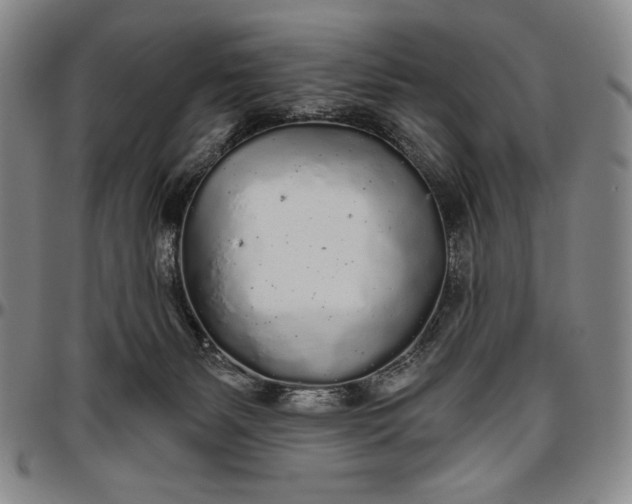 X0000096630127200802191206