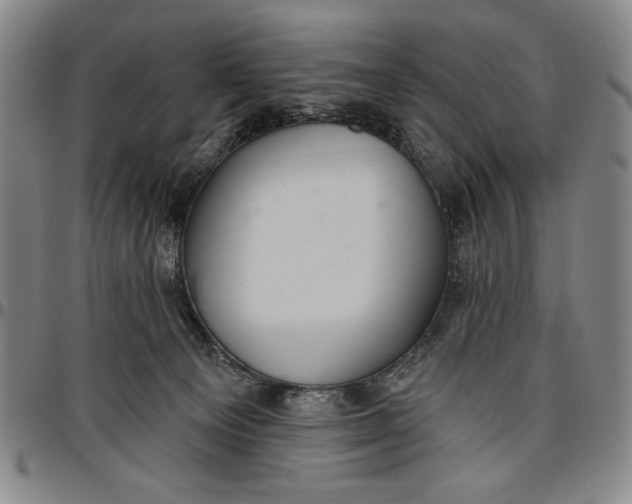 X0000096630129200802191206