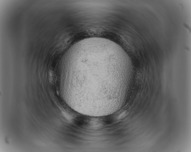 X0000096630130200802191206