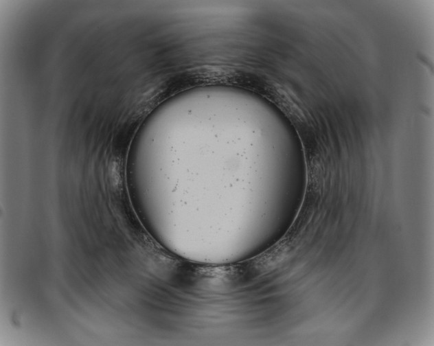 X0000096630131200802191206