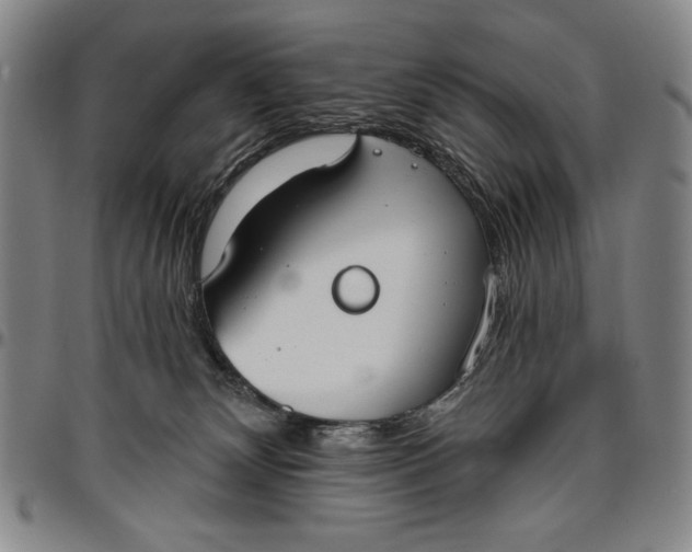 X0000096630132200802191206