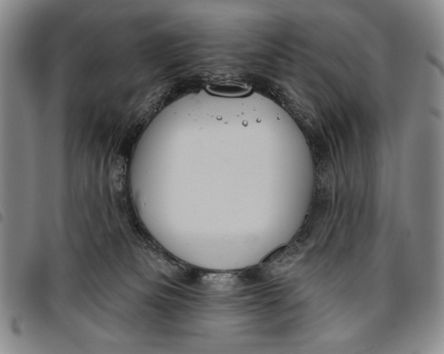 X0000096630133200802191205