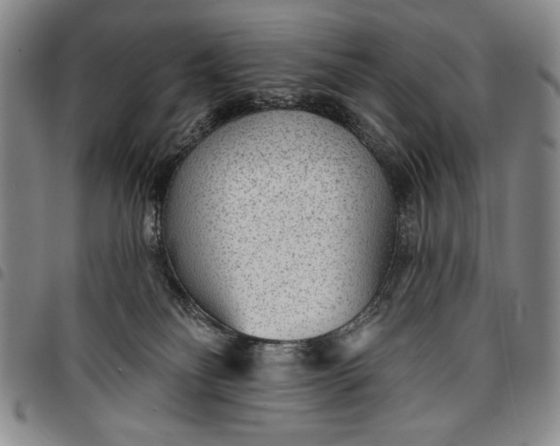 X0000096630134200802191205