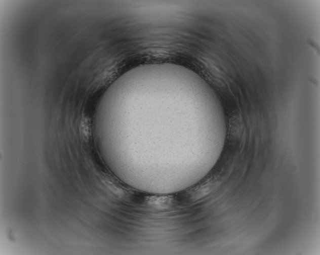 X0000096630135200802191205