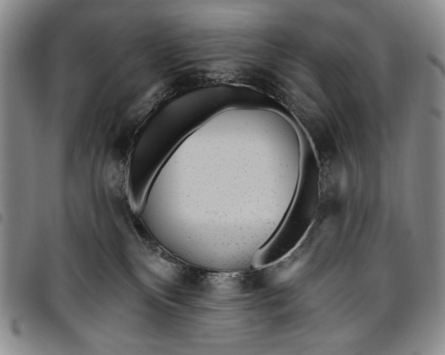 X0000096630136200802191205