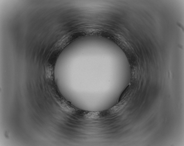 X0000096630138200802191205