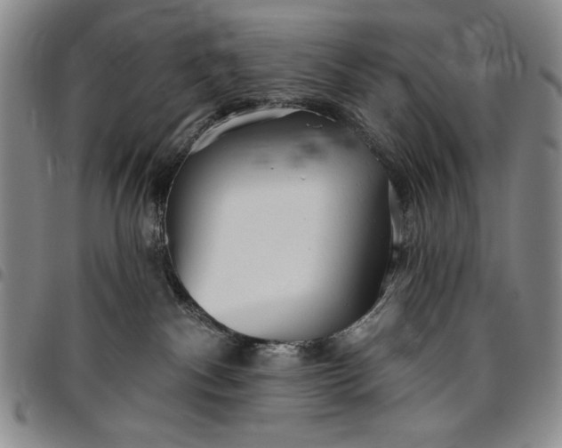 X0000096630140200802191205