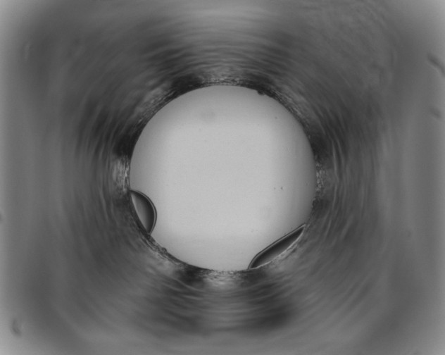 X0000096630142200802191205