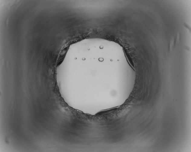 X0000096630144200802191205