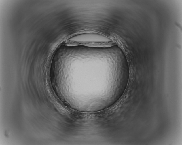 X0000096630145200802191204