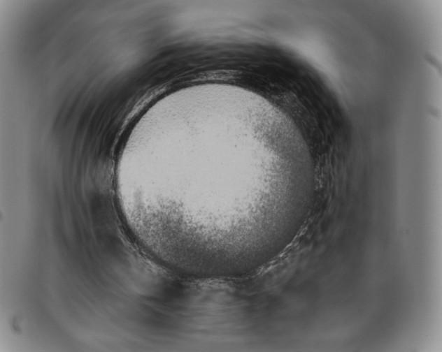 X0000096630146200802191204