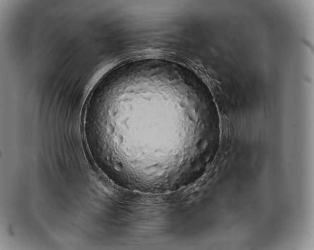 X0000096630147200802191204