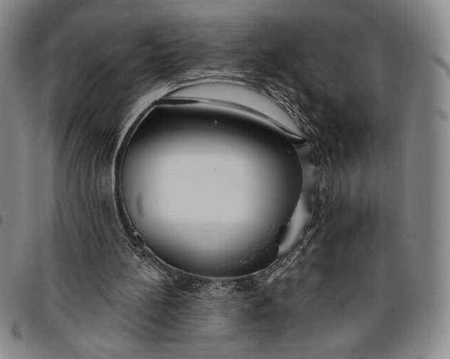 X0000096630148200802191204