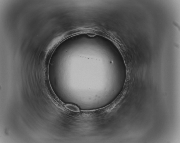 X0000096630149200802191204