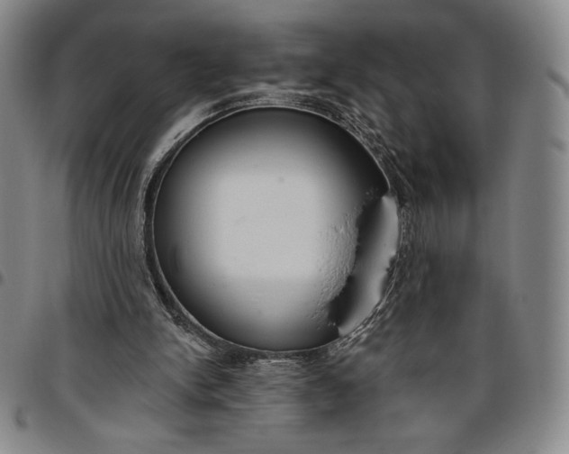 X0000096630150200802191205