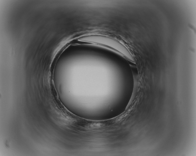 X0000096630152200802191205
