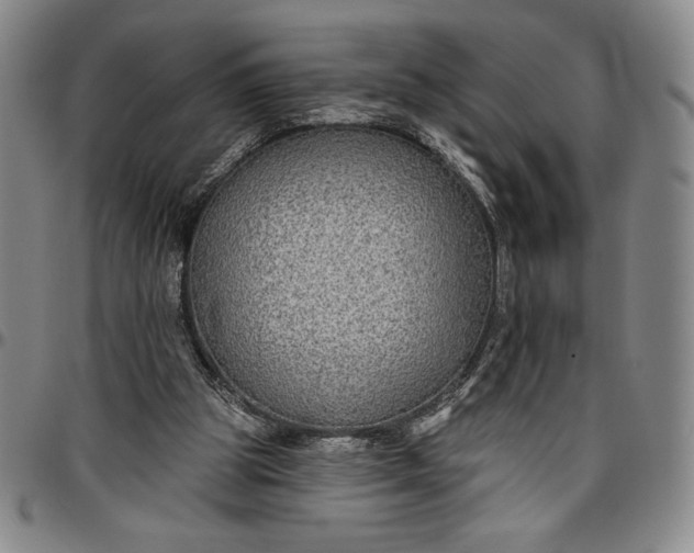 X0000096630153200802191205