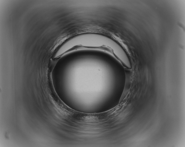X0000096630154200802191205