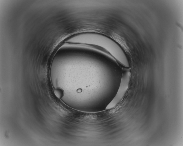 X0000096630156200802191205
