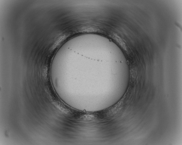 X0000096630159200802191205