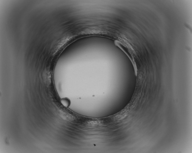 X0000096630160200802191205