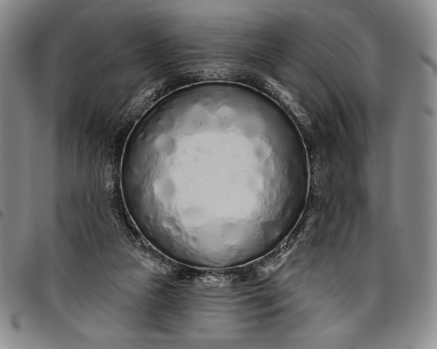 X0000096630161200802191205