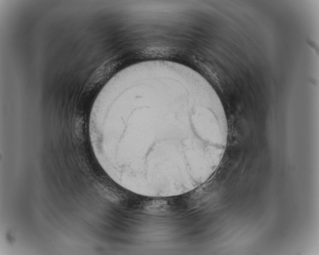 X0000096630162200802191205