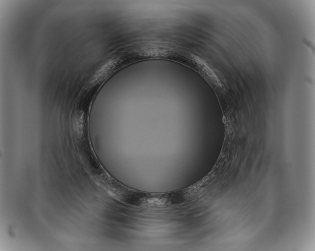 X0000096630163200802191205